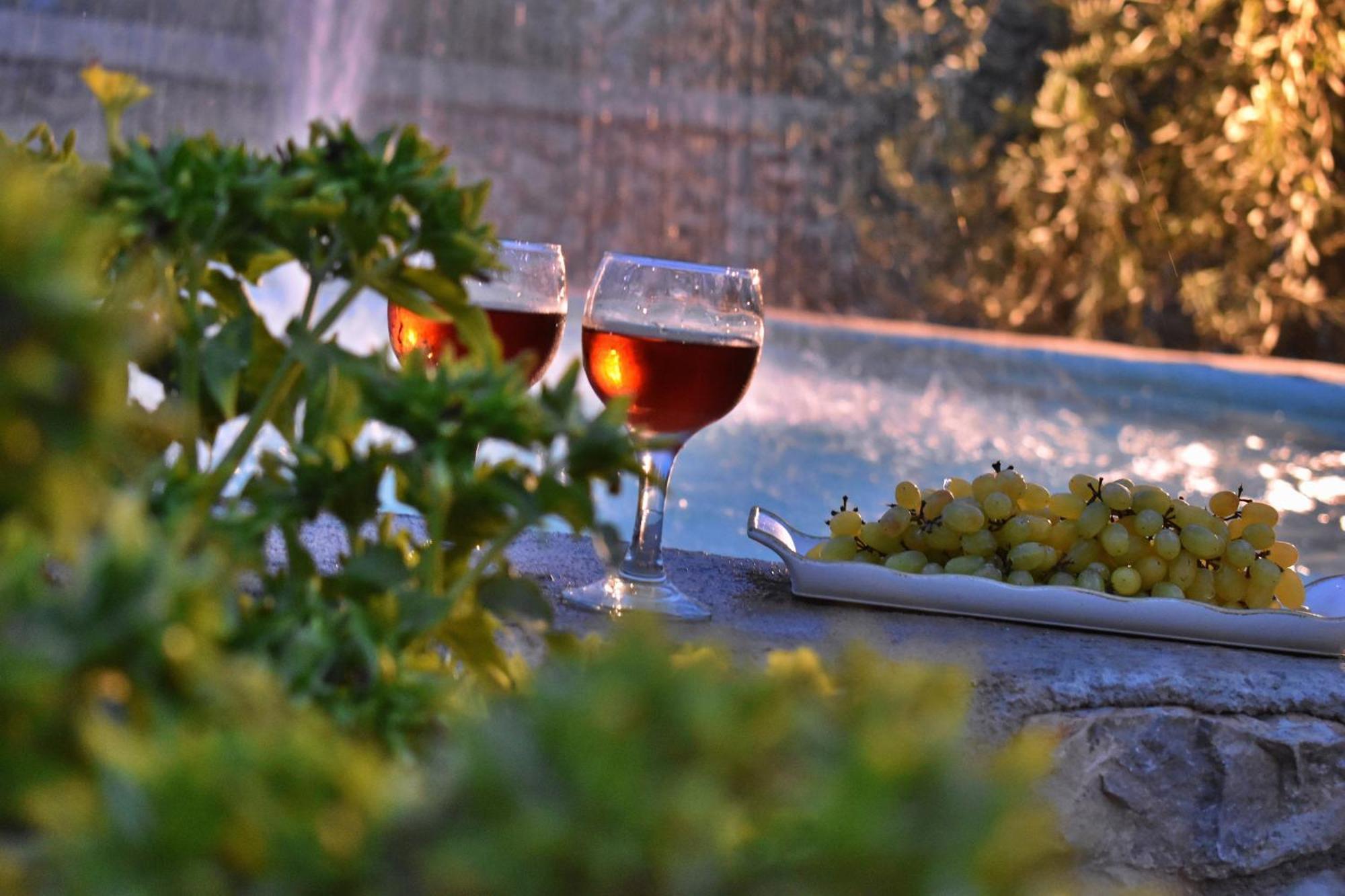 Villa In The Olive Trees Γαλαξίδι Εξωτερικό φωτογραφία