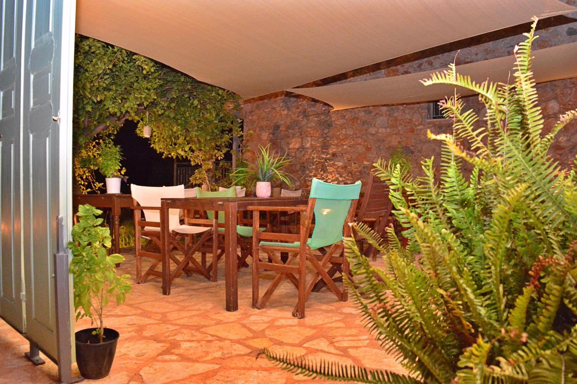 Villa In The Olive Trees Γαλαξίδι Εξωτερικό φωτογραφία