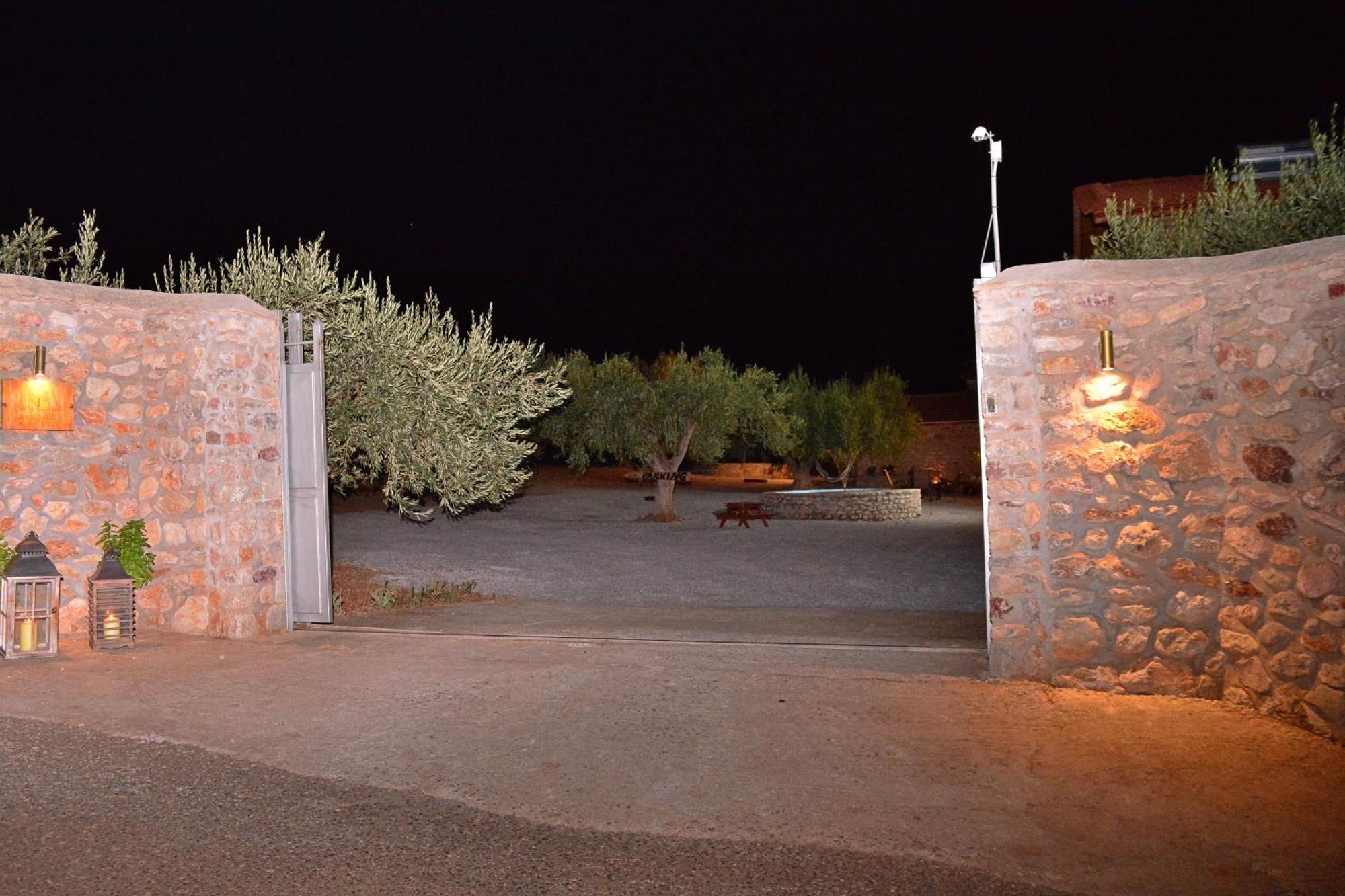 Villa In The Olive Trees Γαλαξίδι Εξωτερικό φωτογραφία