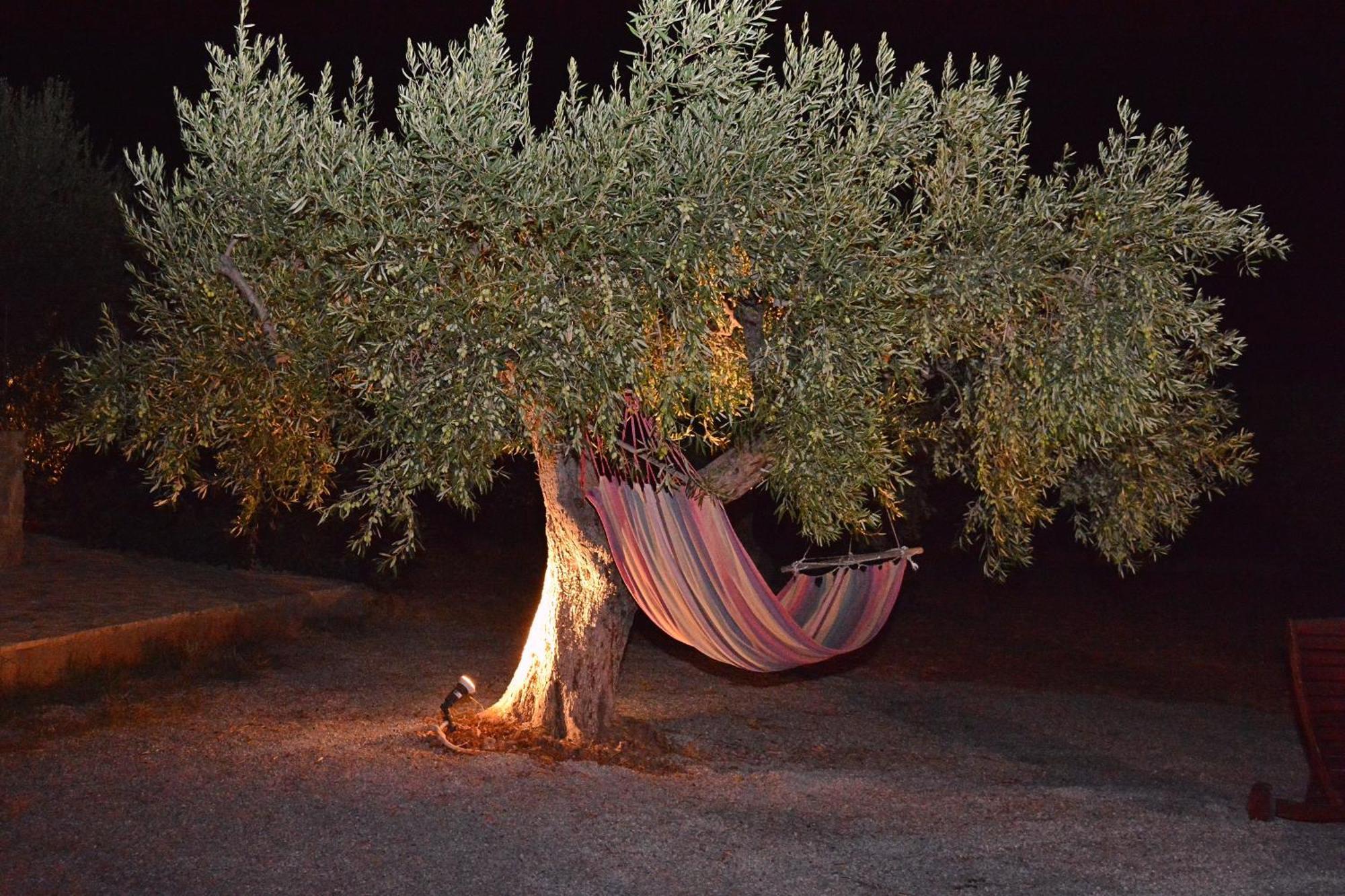 Villa In The Olive Trees Γαλαξίδι Εξωτερικό φωτογραφία